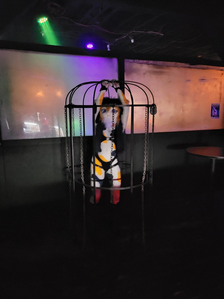 CalicoKig's tweet photo. The kitty has been put in horny jail

#kig #kigurumi #furry #furkig https://t.co/tbnCH2650q