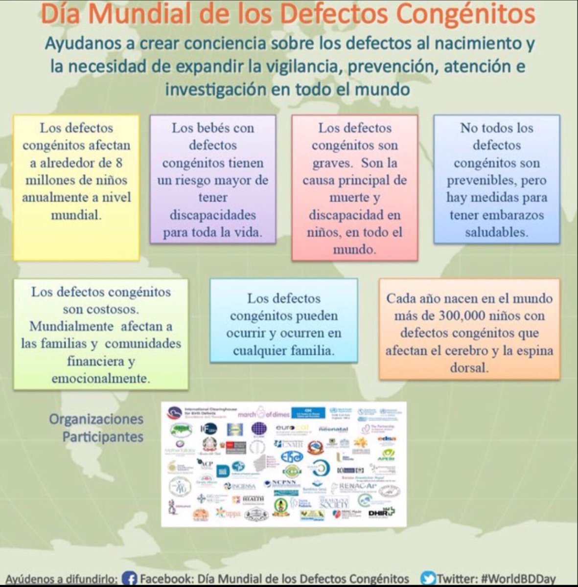 RarasNoInvisibles tweet media