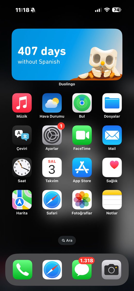 Bişeylerden gönlümün geçtiği farkedilir galiba 😑