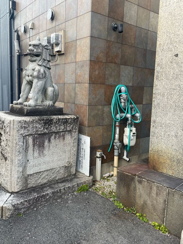 初音ミクかと思った