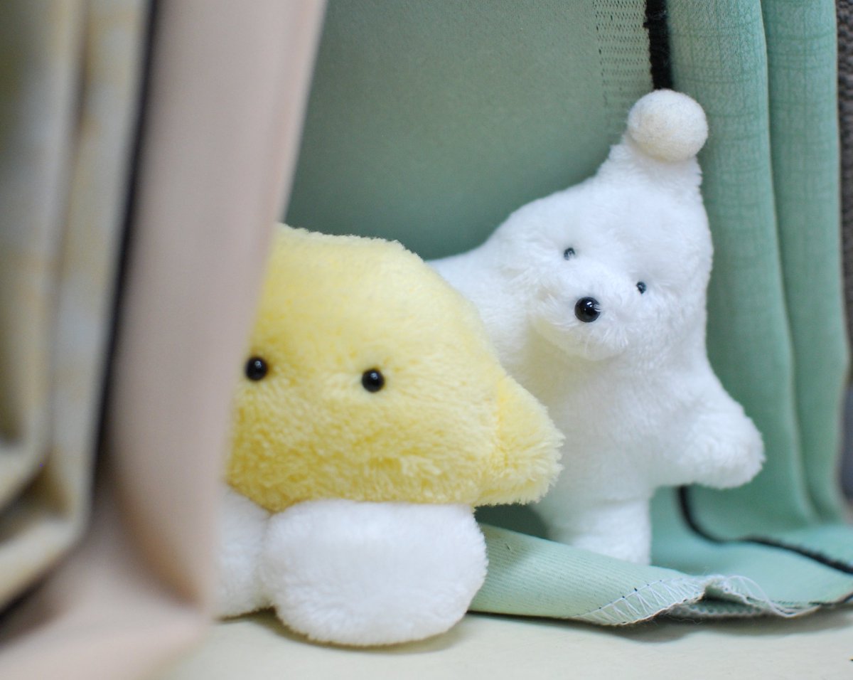 カネヒラ (@simainusima) / Posts / X