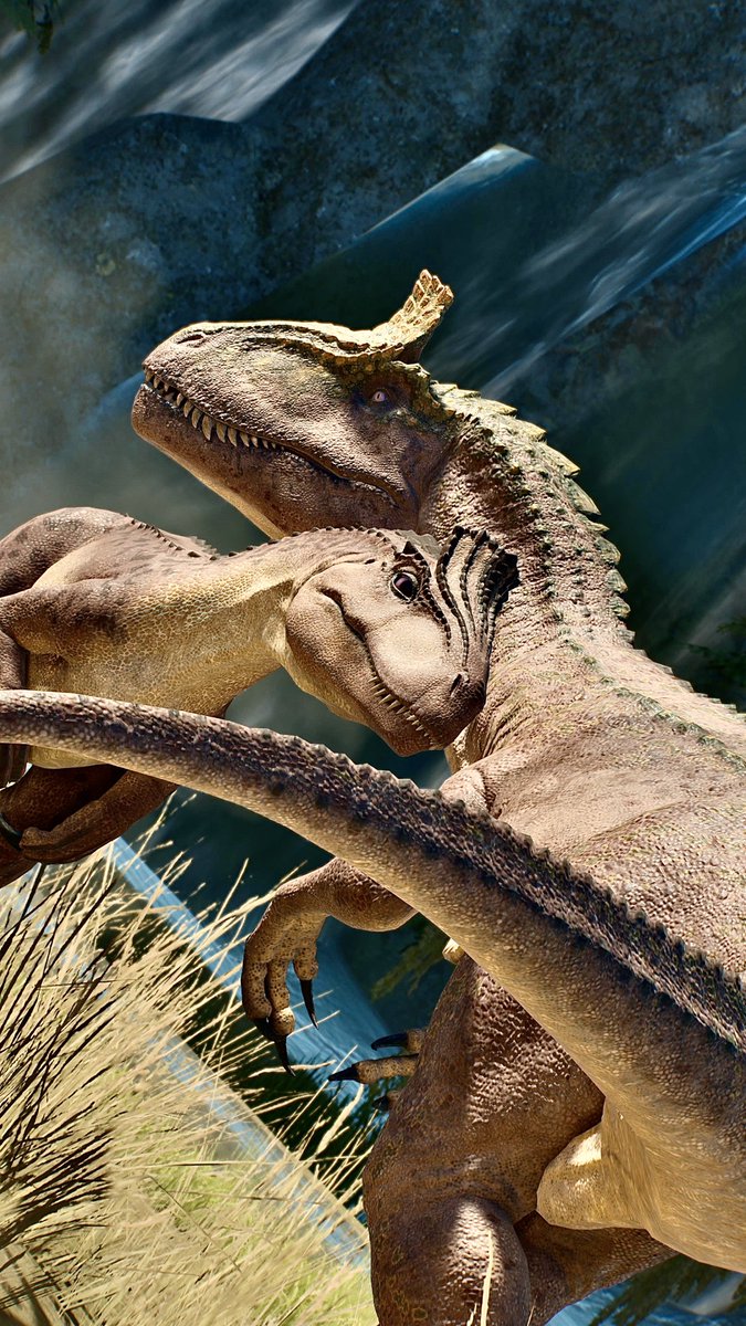 📸－FIRST－📸 tweet media