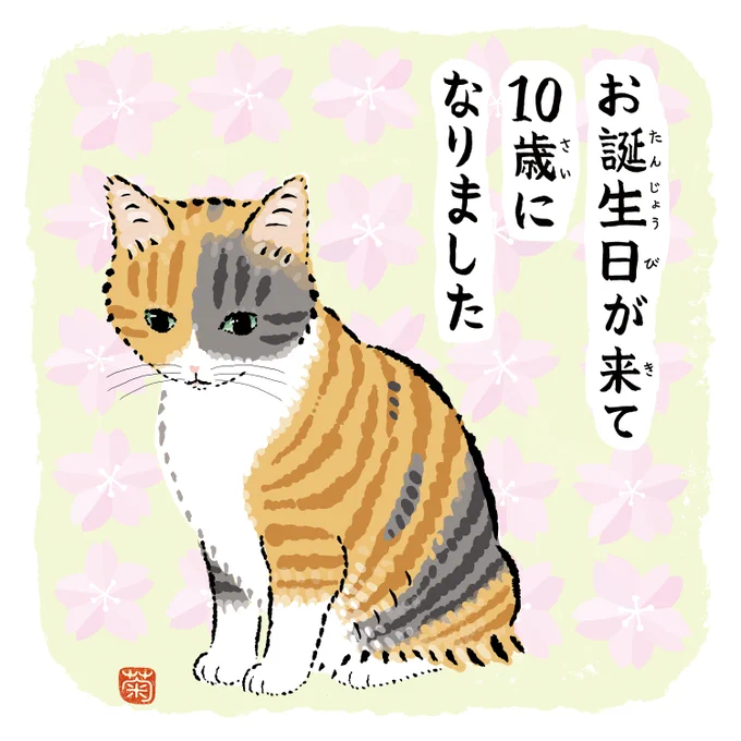 いつも菊ちゃんをみてくださりありがとうございます。
毎日たくさん遊んで、たくさんおしゃべりしています。
これからもどうぞよろしくお願いいたします🌸 