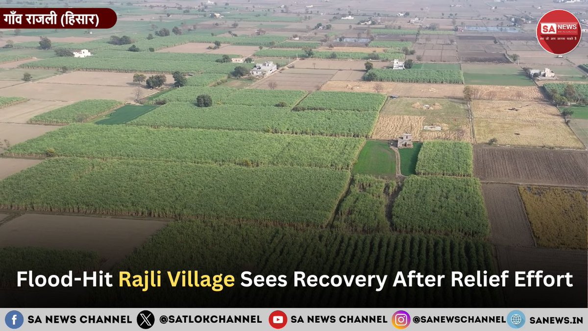 Flood-hit Rajli village in Haryana’s Hisar district witnessed a major change after weeks of waterlogging damaged crops and forced families to leave their homes. Villagers said pipes and motors helped drain floodwater, allowing wheat sowing across most farmland. Residents