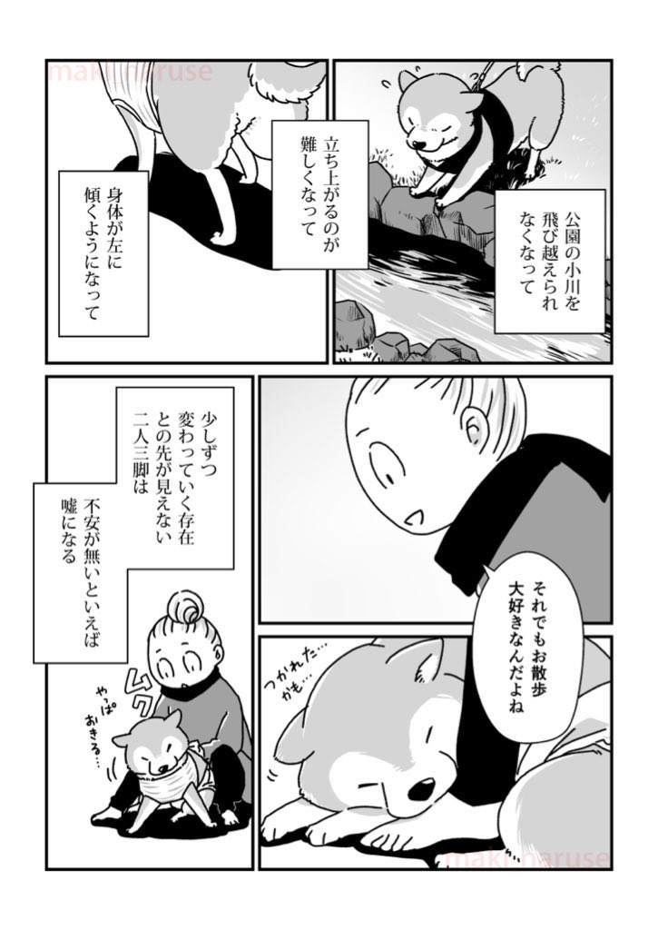 【再掲】「シニア銀次郎の散歩スタイル」(2/2) 