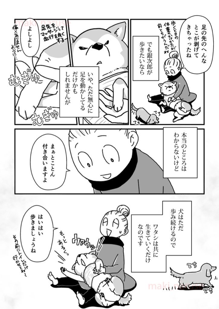 【再掲】「シニア銀次郎の散歩スタイル」(2/2) 