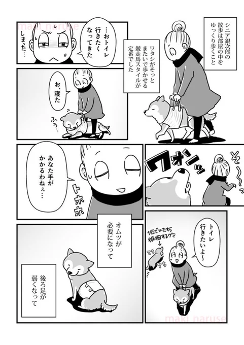 【再掲】「シニア銀次郎の散歩スタイル」(2/2) 
