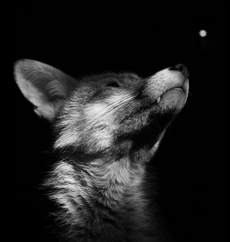 Richard Bowler tweet media