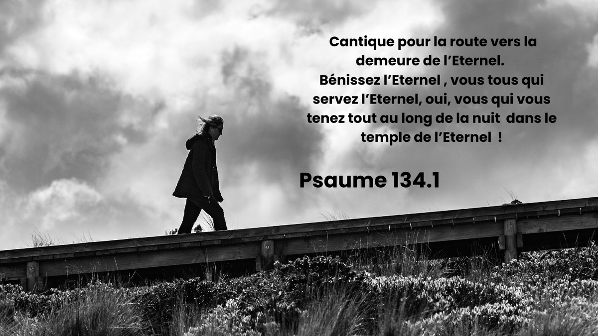 Éditions Farel tweet media