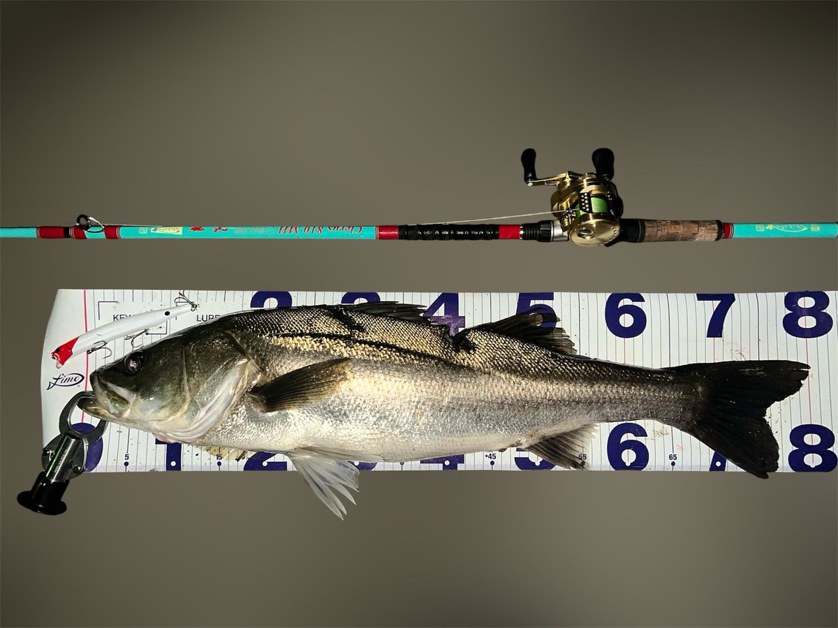 ゆうた tweet media