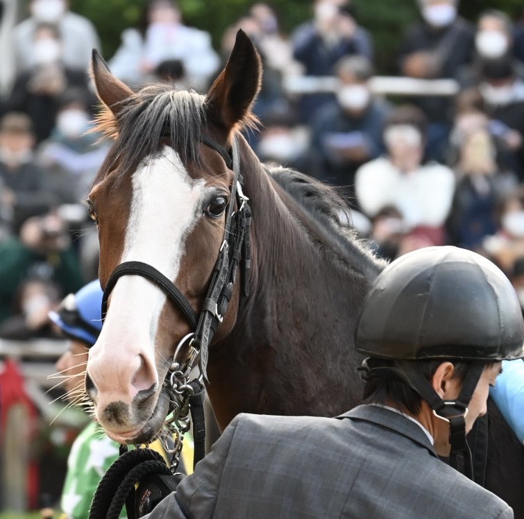 どうしてるかなぁ…

あとどのくらいかなぁ…

とにかく母子共に無事に🙏

#メロディーレーン