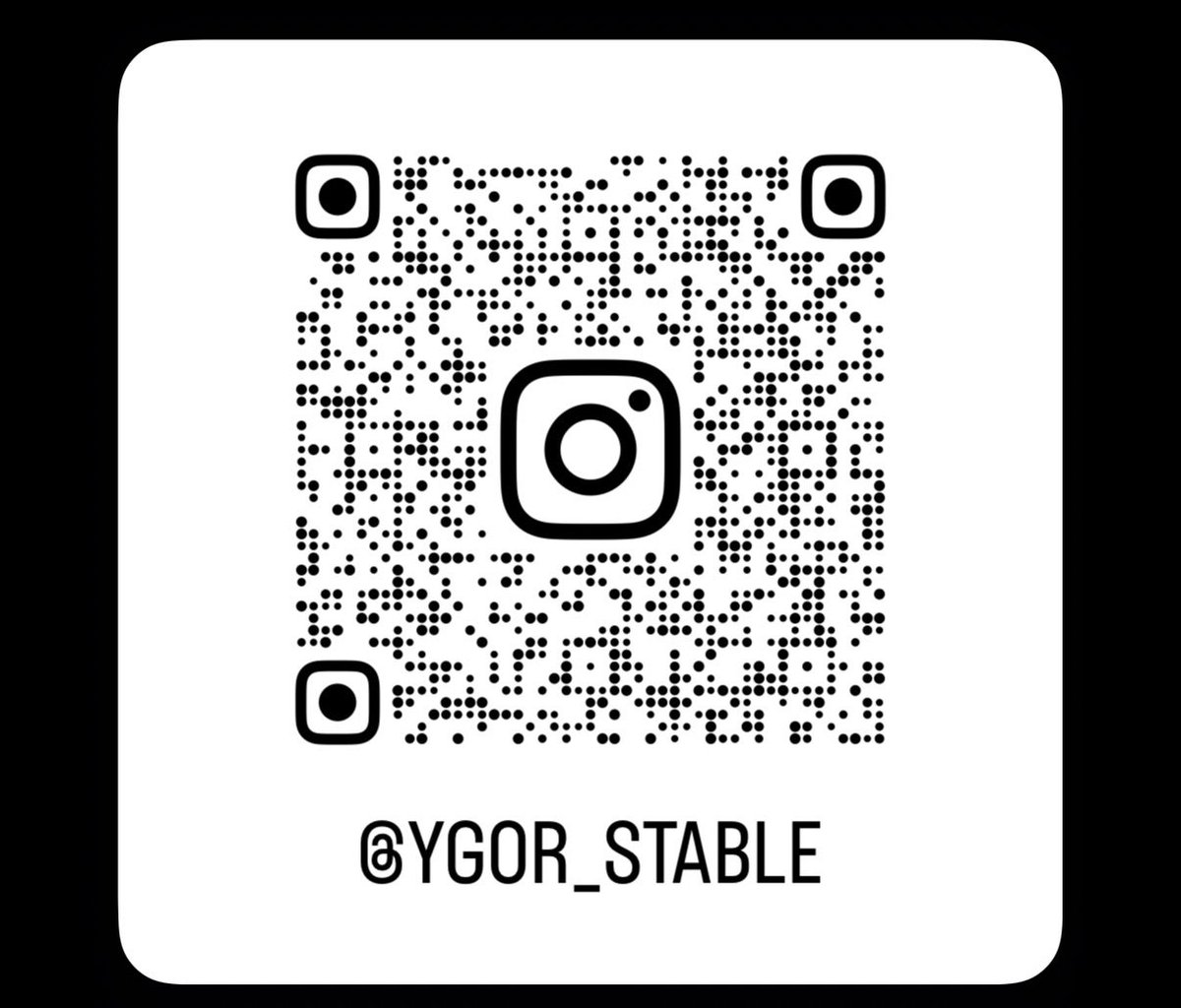 マンチカンのゆーが🐈‍⬛おる🐈 tweet media