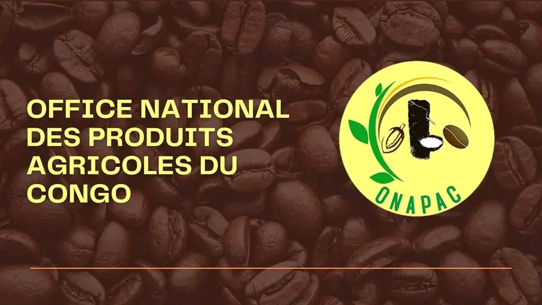 ONAPAC_GOMA's tweet photo. Notre objet social, nos missions, nos adresses : #ONAPAC_RDC 
@OnapacRdc 
@OnapacBeni 
@ONAPAC_GOMA
@KisanganiOnapac https://t.co/YnIeotItTe