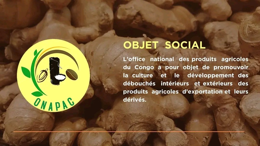 ONAPAC_GOMA's tweet photo. Notre objet social, nos missions, nos adresses : #ONAPAC_RDC 
@OnapacRdc 
@OnapacBeni 
@ONAPAC_GOMA
@KisanganiOnapac https://t.co/YnIeotItTe
