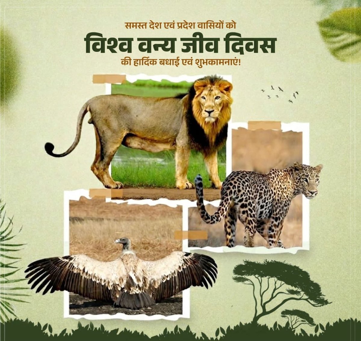 समस्त देश एवं प्रदेशवासियों को विश्व वन्य जीव दिवस की हार्दिक बधाई एवं शुभकामनाएं!

आइए, इस अवसर पर हम सभी जैव-विविधता के साथ साथ, वन्य जीवों के संरक्षण तथा प्रकृति के संतुलन को बनाए रखने का संकल्प लें, ताकि आने वाली पीढ़ियों को सुरक्षित और समृद्ध पर्यावरण प्रदान किया जा सके।