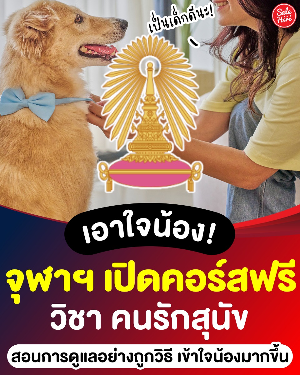 📣 #จุฬา เปิด #คอร์สฟรี คนรักสุนัข! 🐶 เรียนรู้ชีวิตน้องหมา ทั้งการดูแลและนิสัย 🦮🩷

📌ดูเพิ่มเติม > facebook.com/salehere/posts…

#SaleHere #เซลเฮียร์