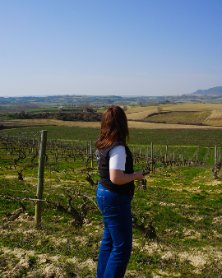 BodegasTaron tweet media