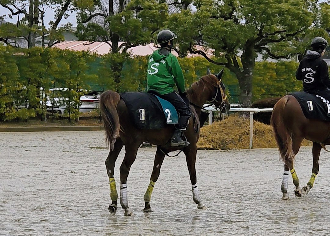 黒柳勝博 tweet media