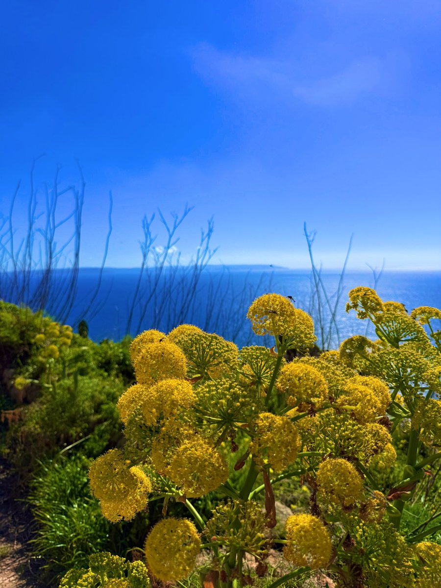 CryptoAmsterdam tweet media