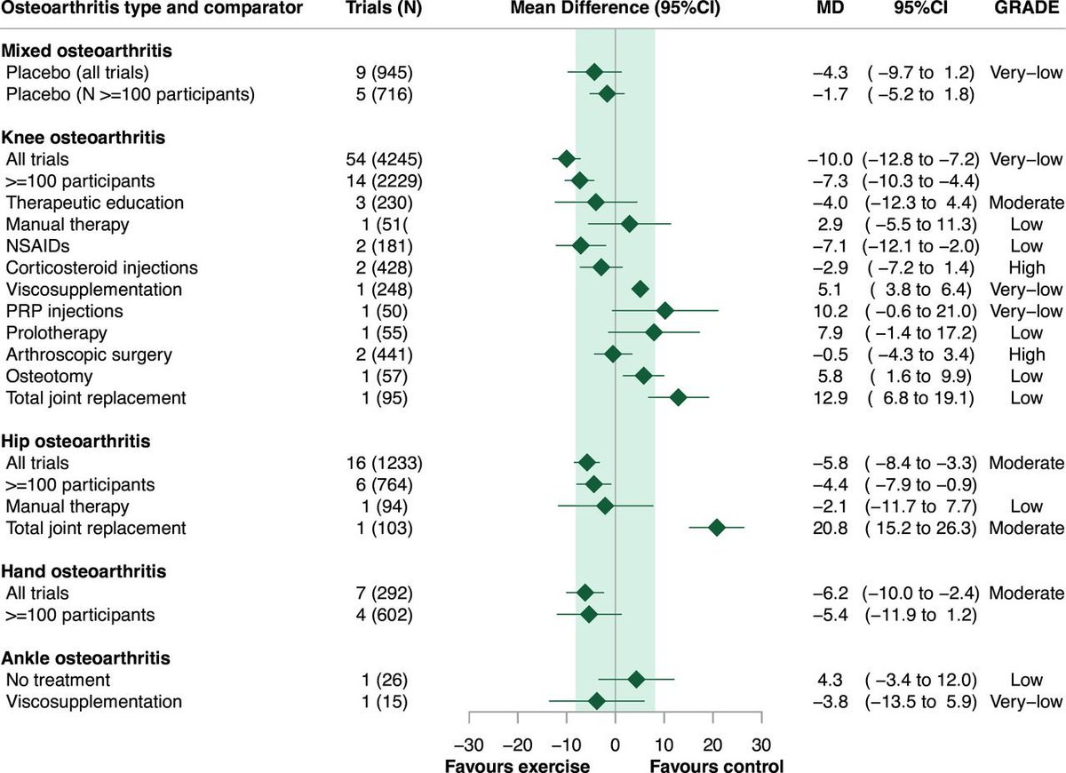 Physio Explored tweet media