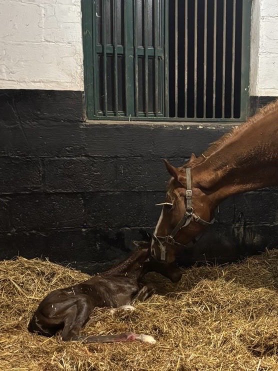 Martyn MacLeod tweet media