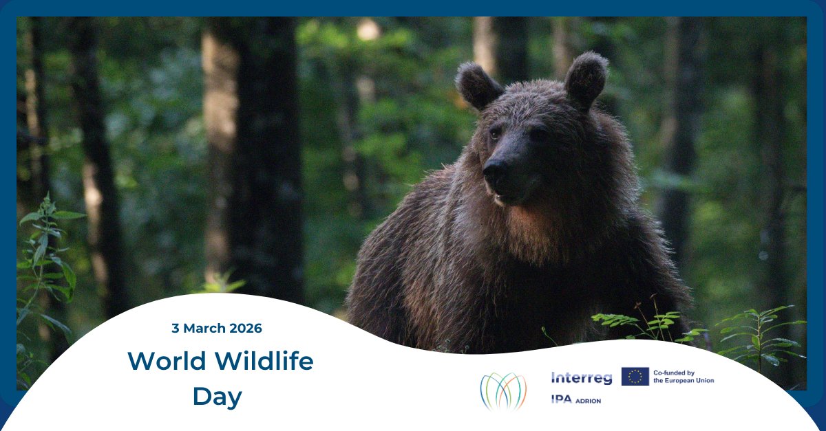 Interreg IPA ADRION tweet media