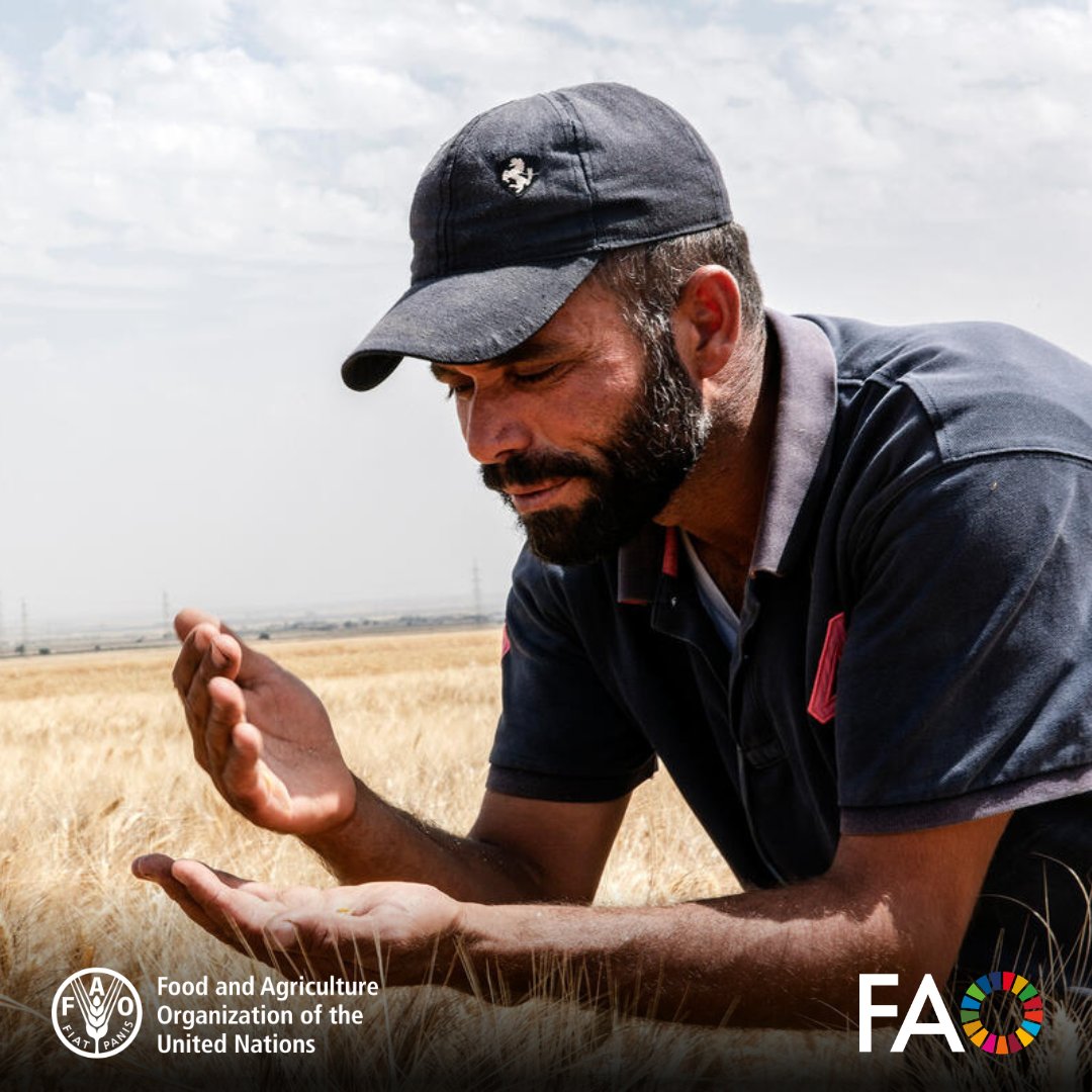 FAO AIMS tweet media