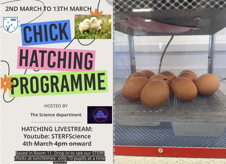 St Edward's Windsor tweet media