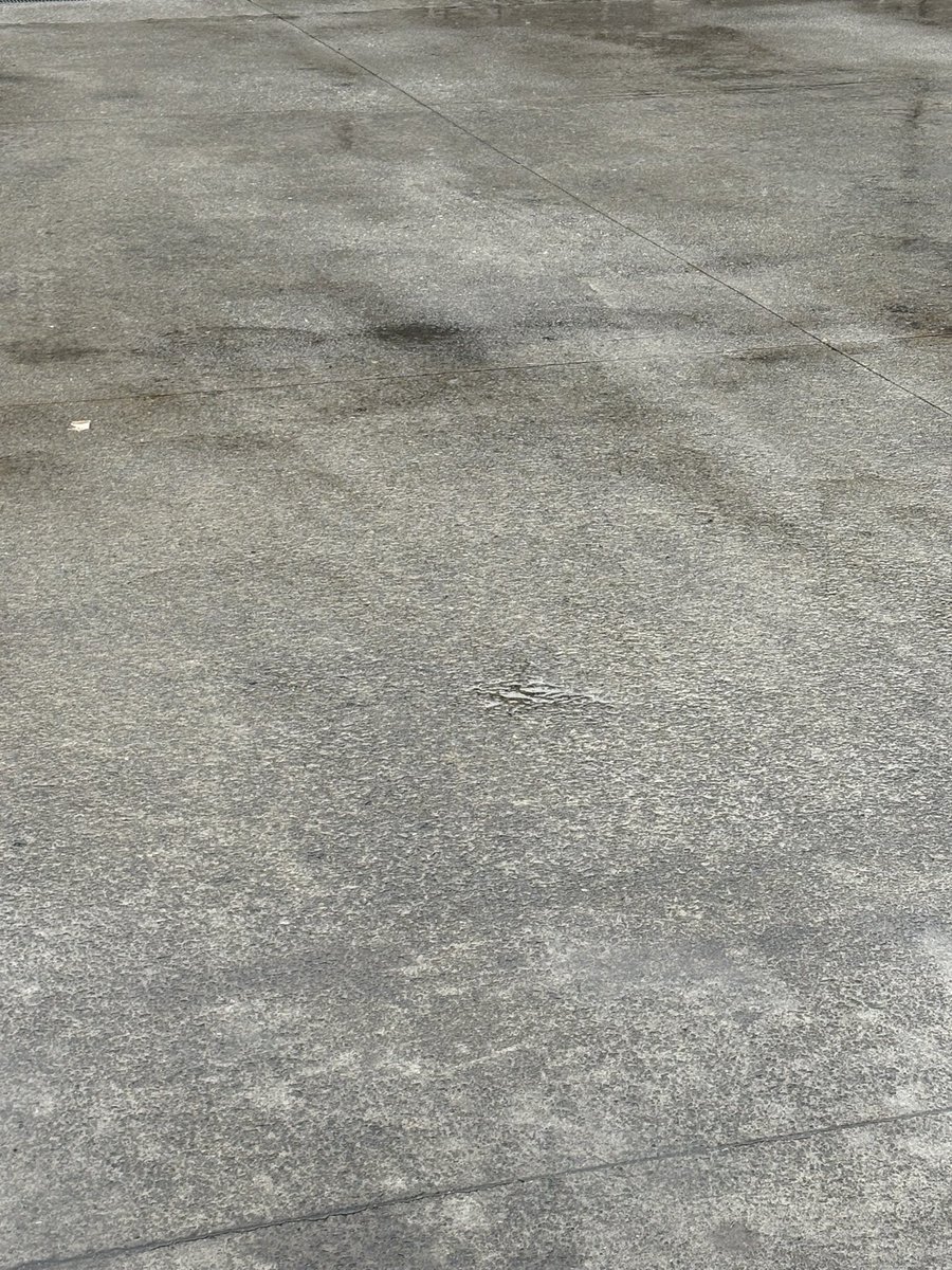 しごおわ

1日降ってたね〜(´･ω･`)