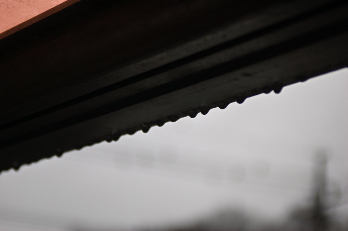 Rainy Day🌧️

Nikon D50でベランダの雨しずくを撮ってみた。
夕方の薄暗い時間はどうしてもノイズが出てしまう。
でもしっとり感は出すことができた。
ISO 200 / f/4.5 / 1/30
#写真実験 #古いカメラ #雨の日 #DIYスタジオ