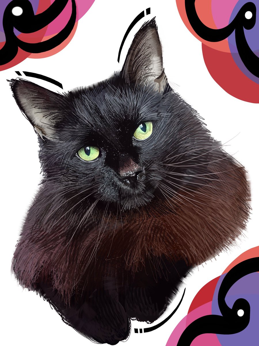 ★Nate D Hernandez★ tweet media