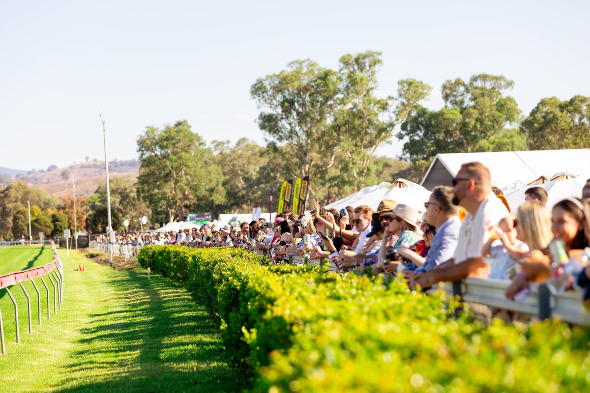 Albury Gold Cup 2026 is coming fast and the best spots are moving ...