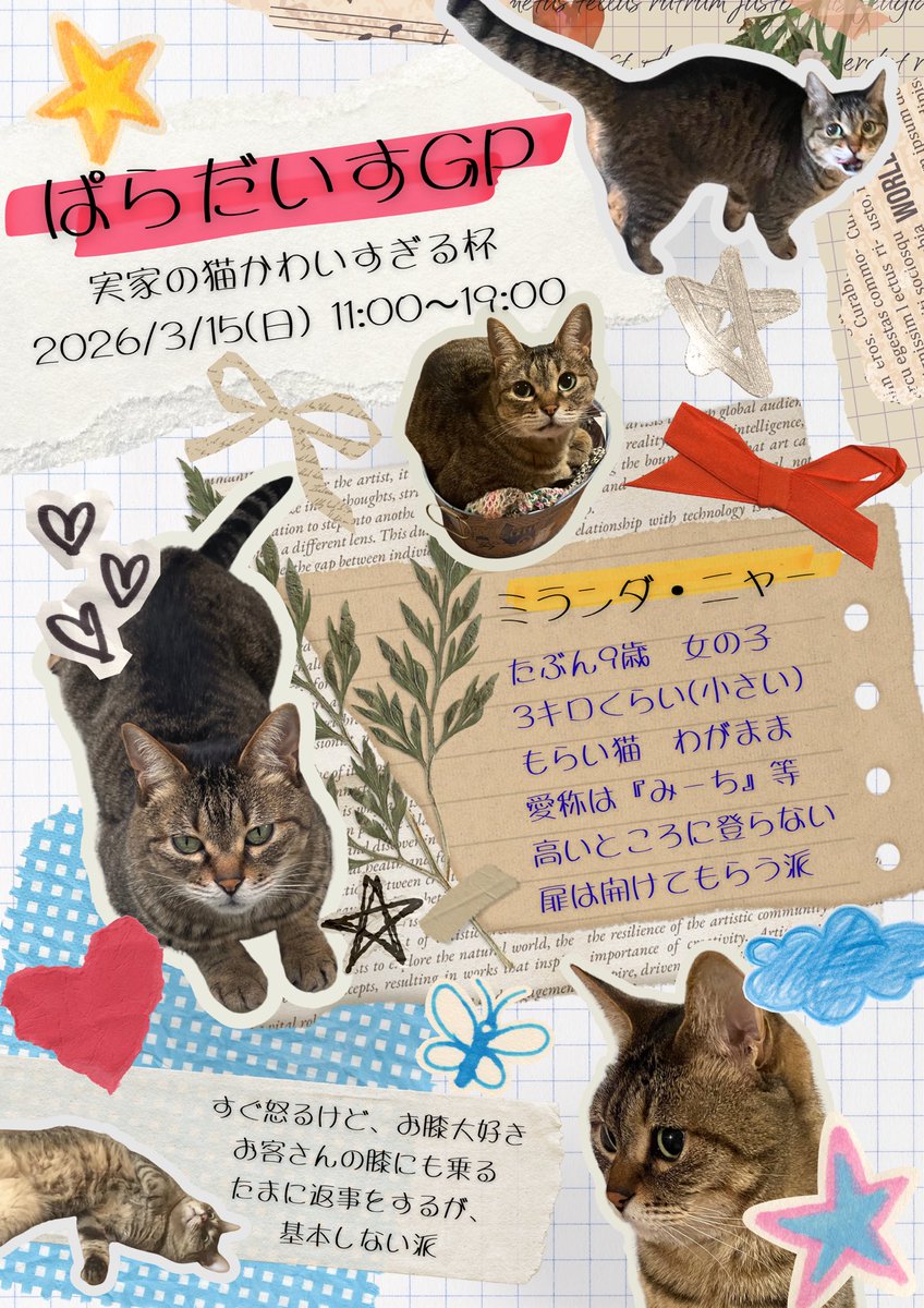 🐈ぱらだいすGP🐈‍⬛ 〜実家の猫かわいすぎる杯〜 ぱらだいすGP(仮
