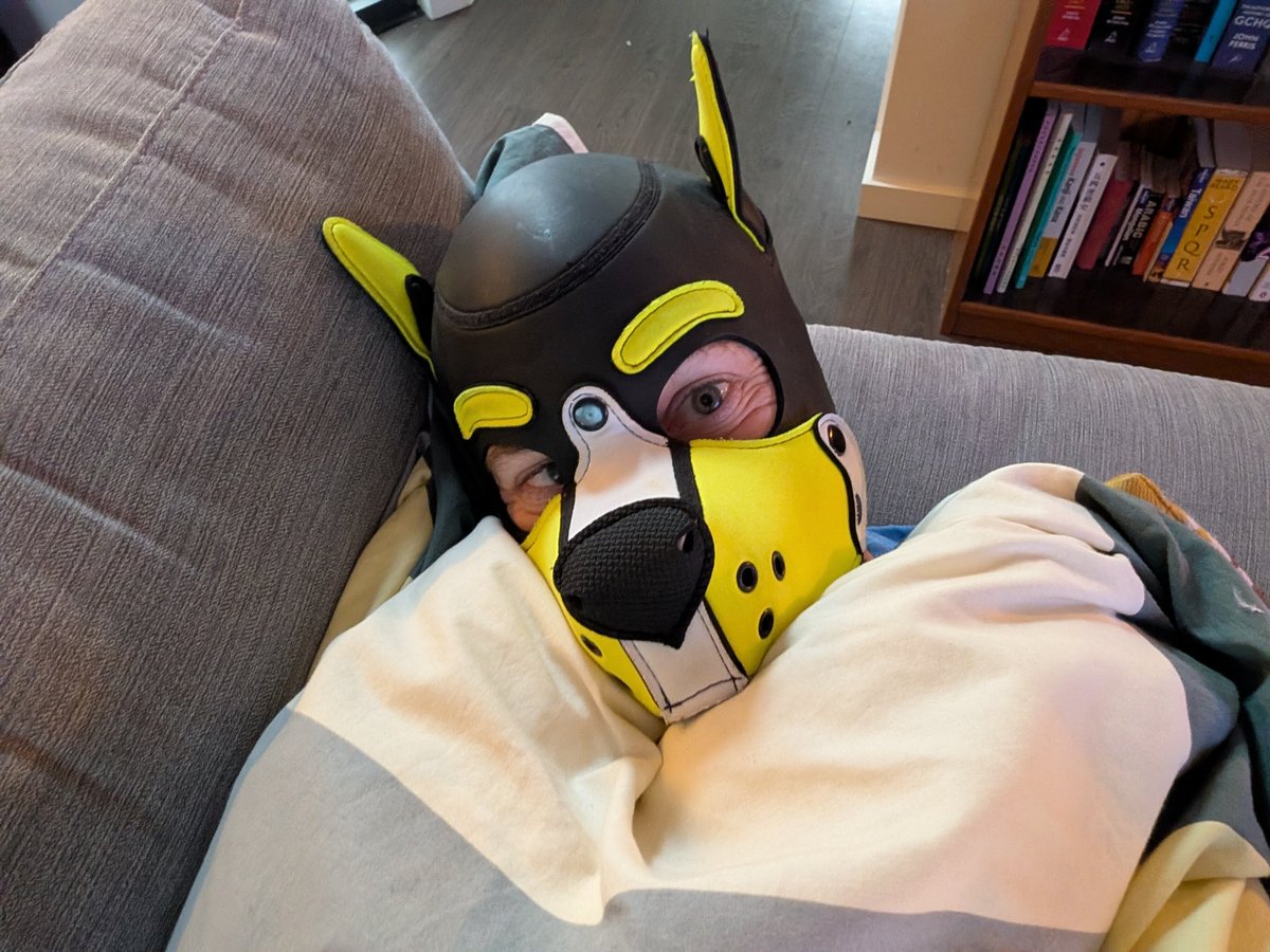 Pup Cipher tweet media