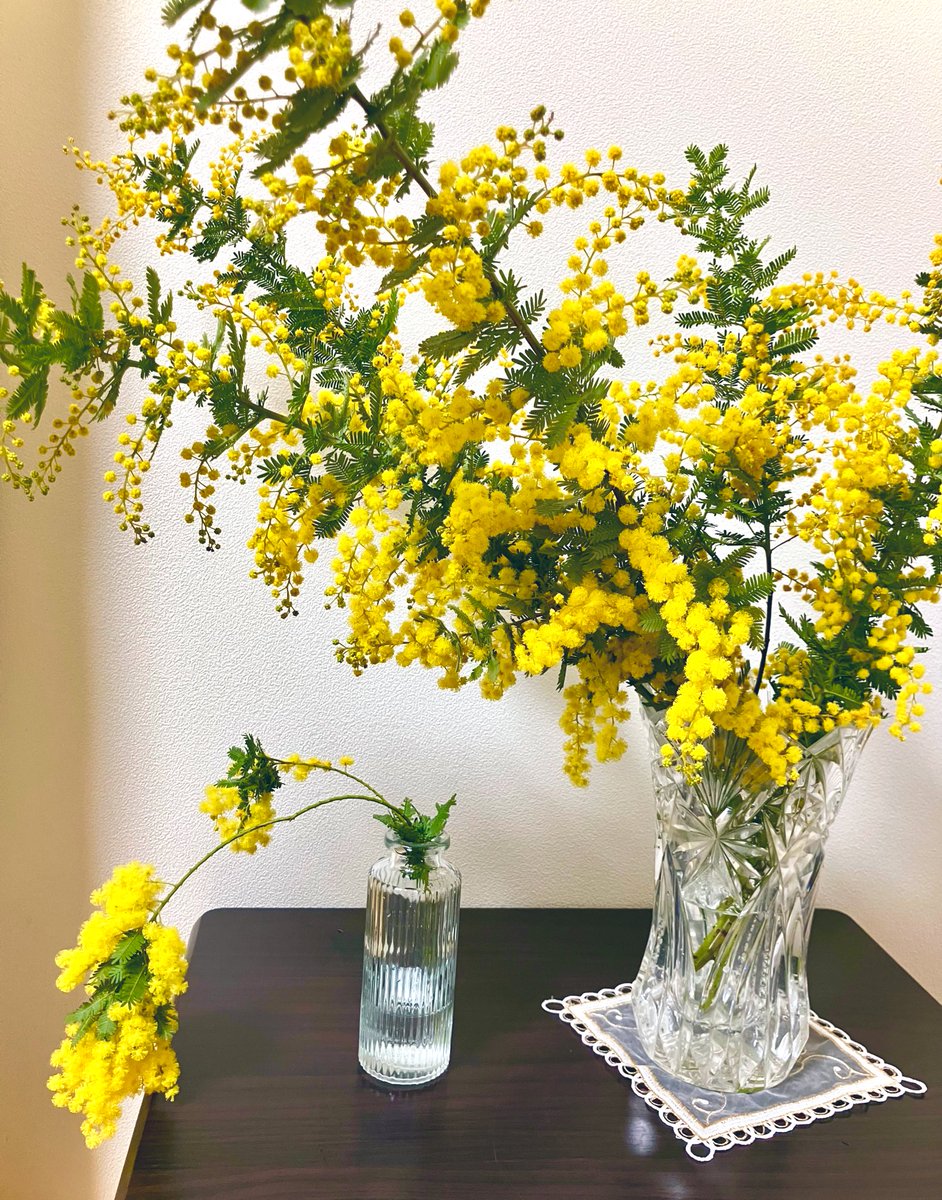 侘助 (@wabisuke0880) / Posts / X