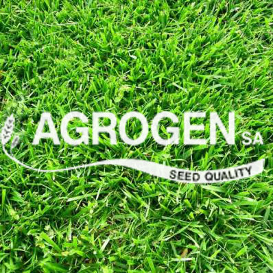 AgrogenSA's tweet photo. Σπόροι Γκαζόν Agrogen - https://t.co/xLo88cUKJW https://t.co/JO8PDdrpQ2