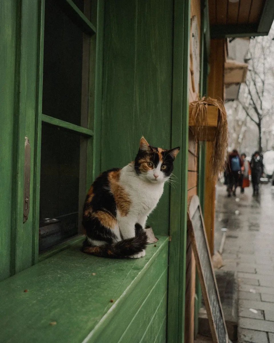 Stylo Bic 535 (@stylobic535) on Twitter photo 