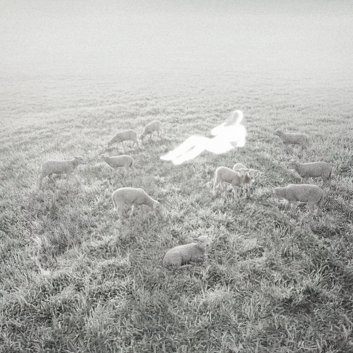 Fleek Mag tweet media