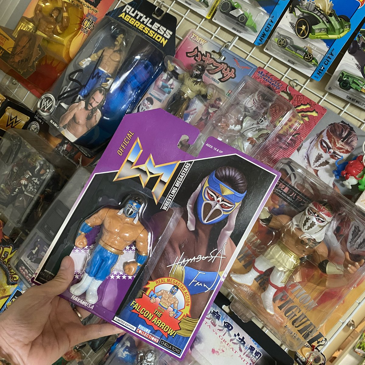 ハヤブサ選手。 14歳。 僕のプロレス観戦の入口。 地元・仙台の