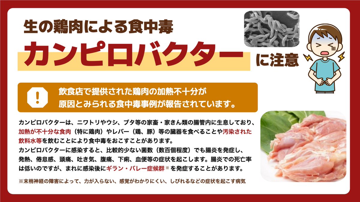 カンピロバクター 食中毒 ⚠️季節を問わず一年中発生⚠️ 「新鮮