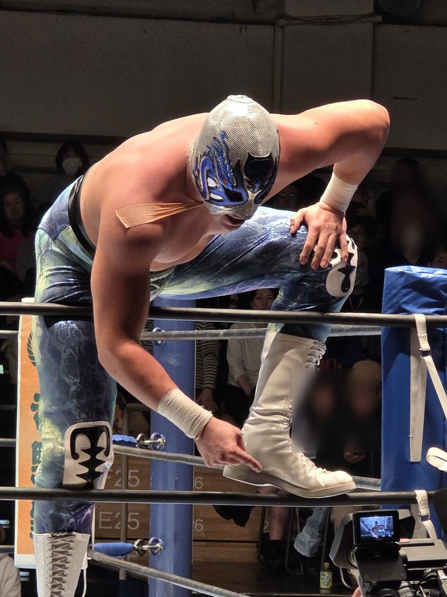 Victoria Kitty tweet media