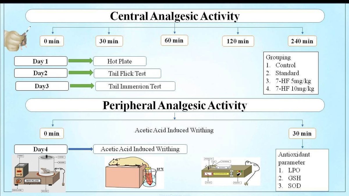 IJP_IMRPress's tweet photo. 🧪The latest work from Rajarshi Shahu College by first author Ashish Dilip Tale and his team is now featured in IJP!

Link👉:https://t.co/T1RPFQVxaY

Can #7Hydroxyflavone #Analgesics relieve #Pain via #OxidativeStress in #HotPlate #TailFlick #WrithingTest?  #Pharmacology #Indian https://t.co/9d36pXjBsk