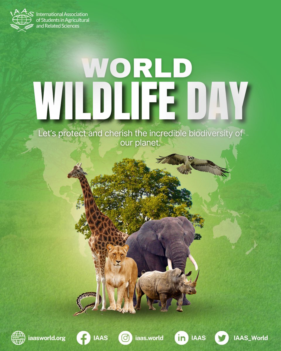 IAAS World tweet media