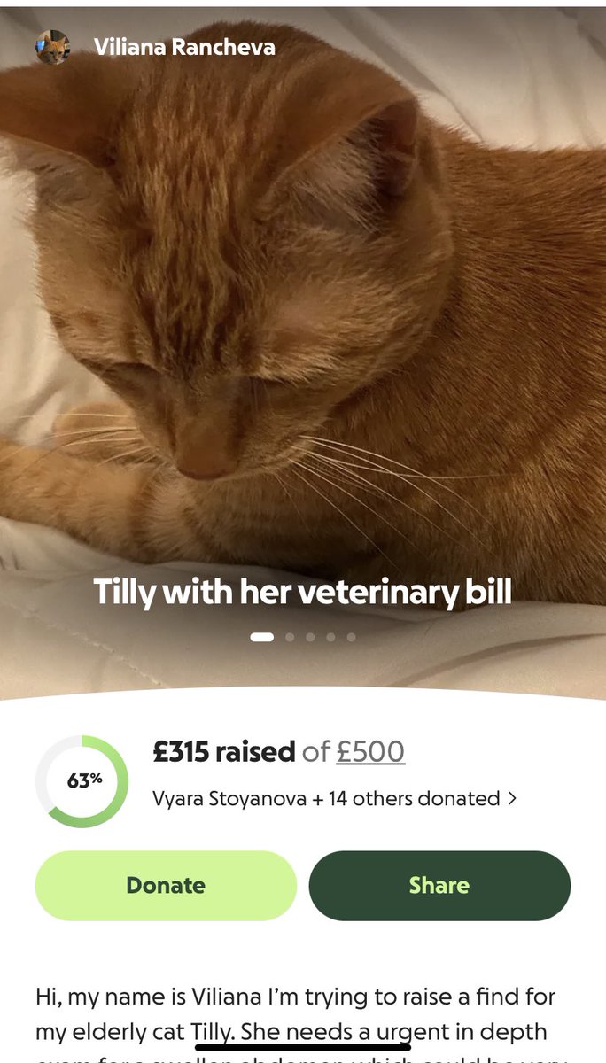 Thank you all so much. People are so nice to my little Tilly. I’ll be off to animal trust today and see what we can do with what we got so far there if they agree to take her in for bloods. gofund.me/f73c762d2