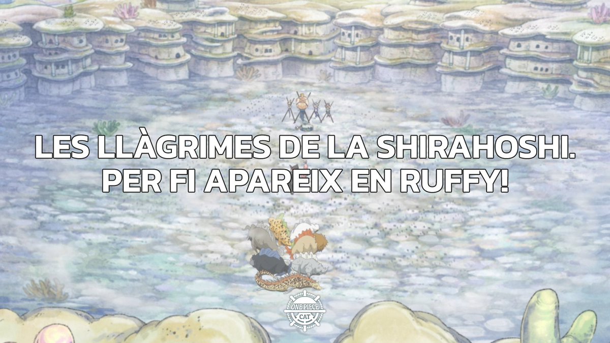 One Piece Català tweet media