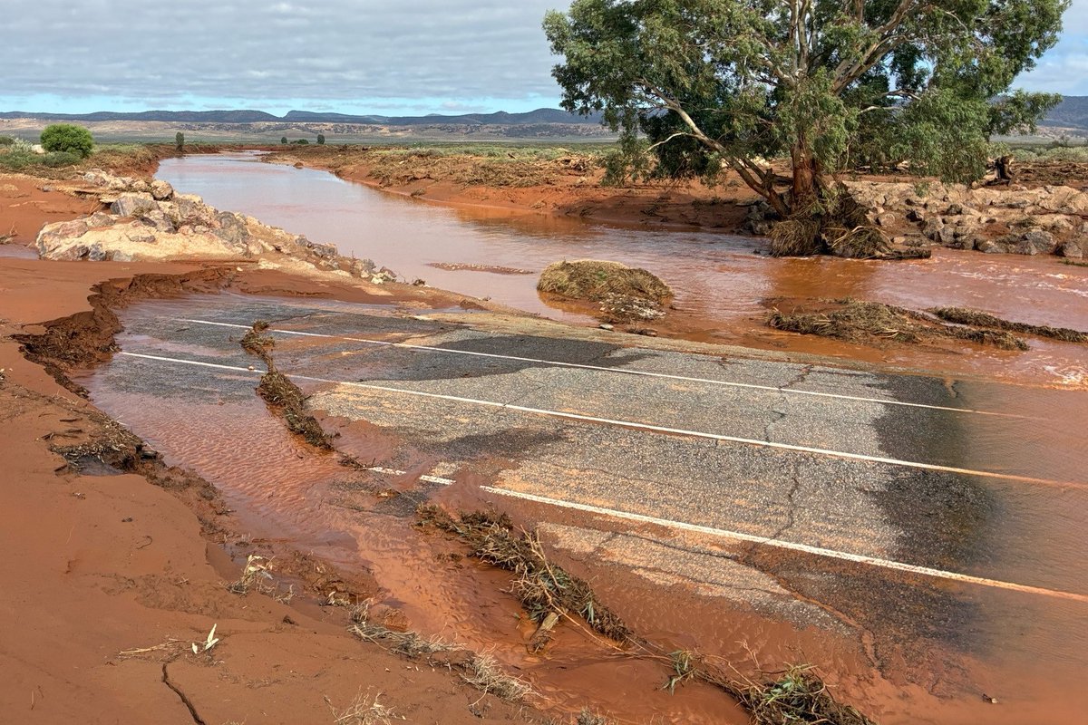 SA Infrastructure & Transport tweet media