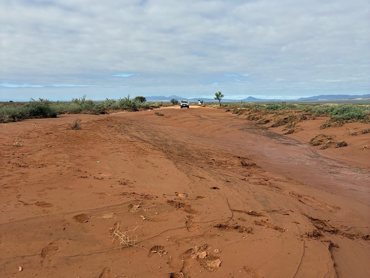 SA Infrastructure & Transport tweet media