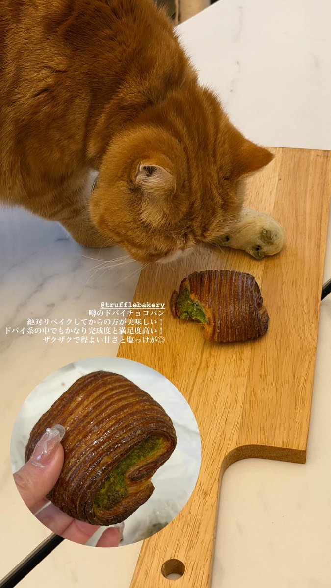 トリュフベーカリーのドバイチョコパン！ザクザクで程よい甘さと塩っけが◎絶対リベイクしてからがオススメ🥐ドバイ系の中でもかなり完成度と満足度高い👌

📍<a href="/TruffleBakery/">TruffleBAKERY_official</a>