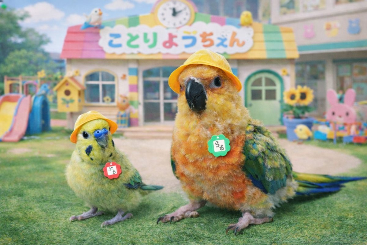 あやなぎ🕊️ tweet media