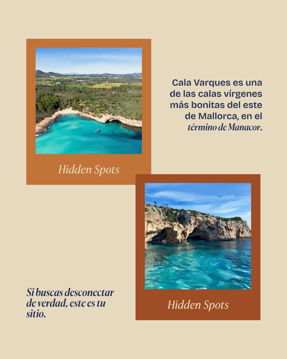 lore fenney tweet media